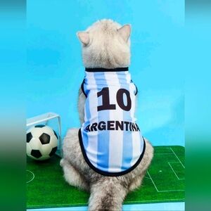 Argentina Cat Jersey - Blue and White